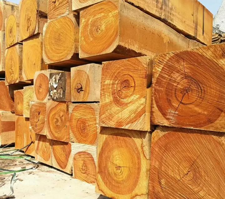 天津二手模板木方回收之原木是什么？